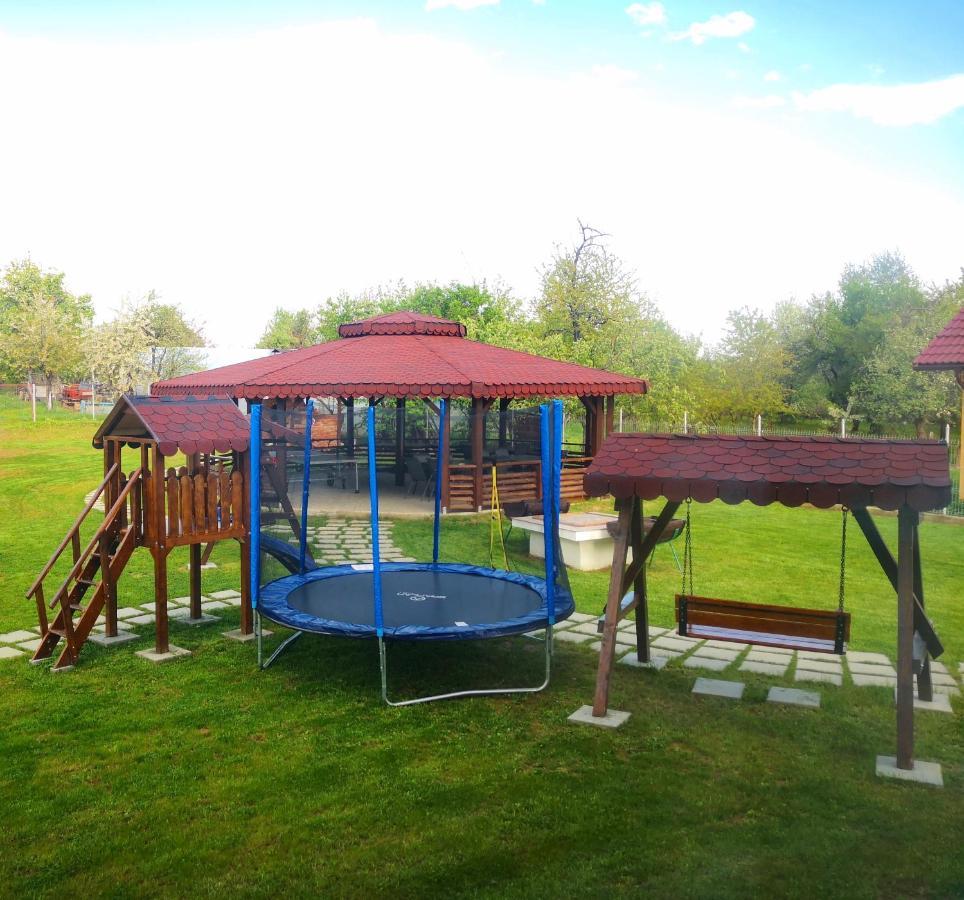 Târgu Jiu Pensiunea Casa Hortopan מראה חיצוני תמונה